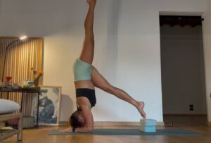 Pincha Mayurasana 2
