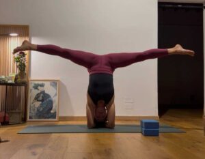 Pincha Mayurasana 5